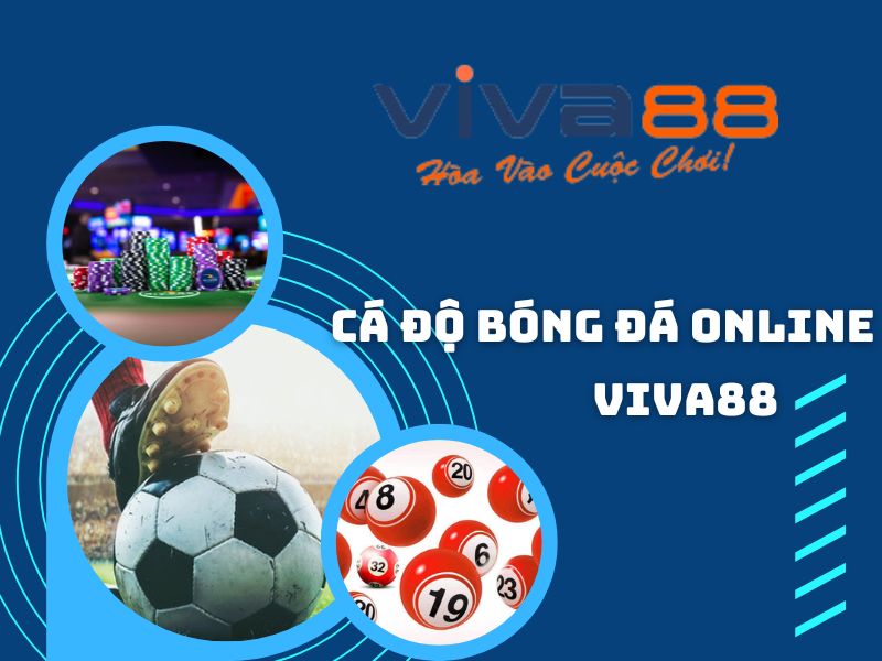 Cá độ bóng đá online nhà cái viva88