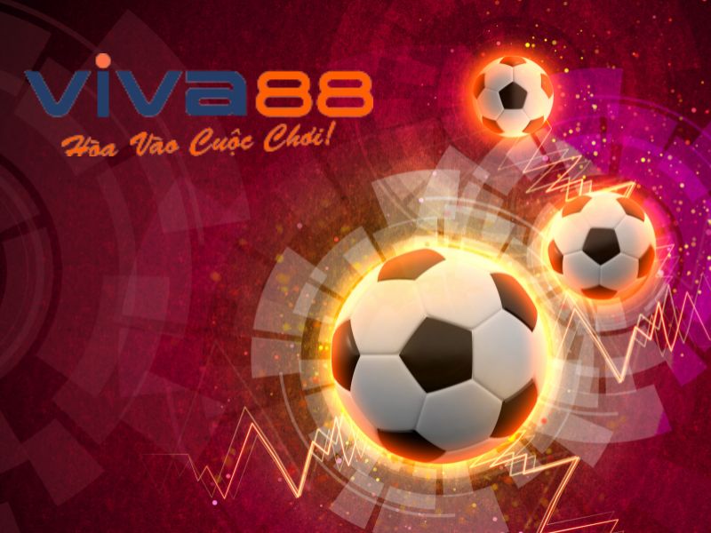 Cá độ bóng đá online tại viva88